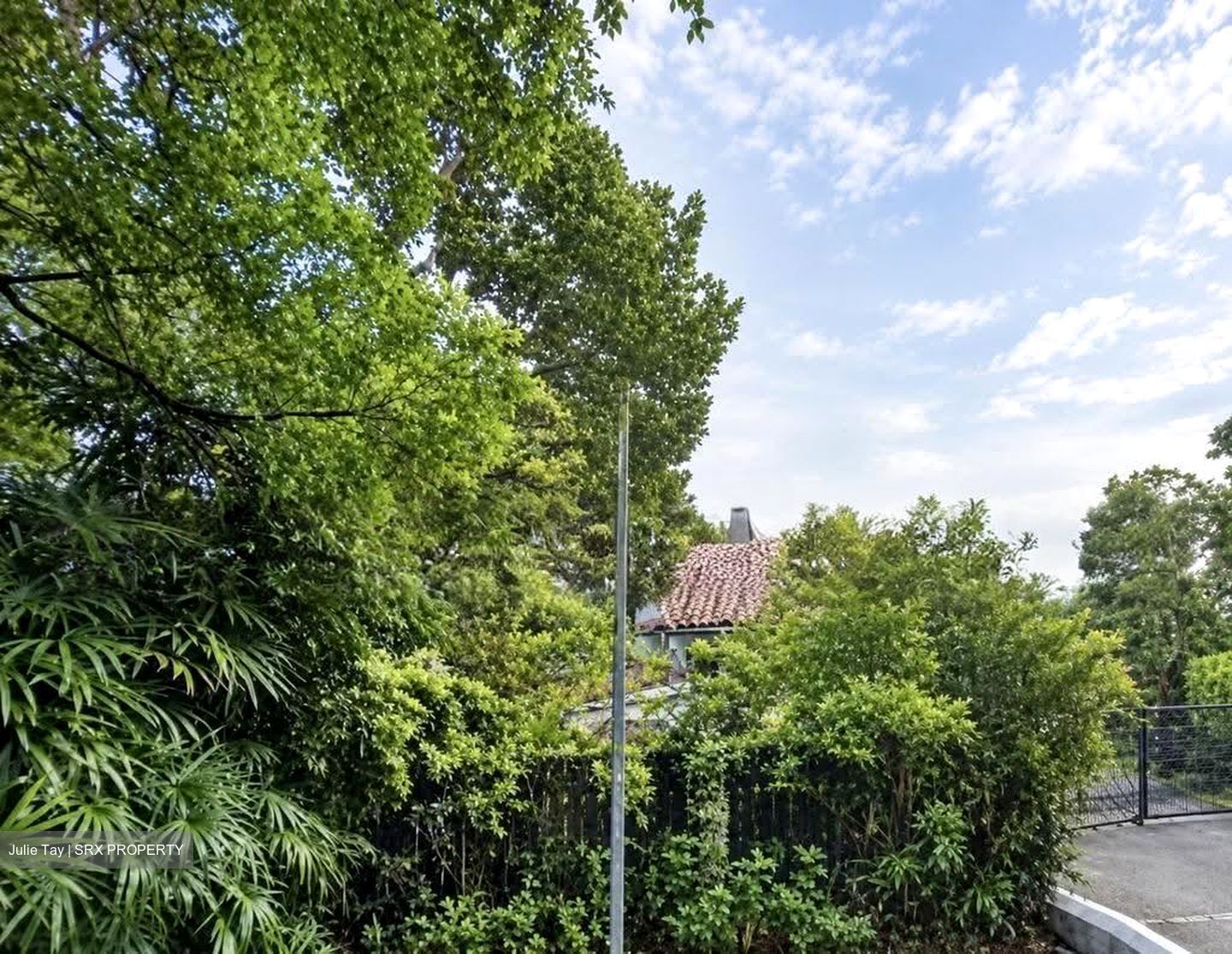Bukit Timah Road (D10), Detached #617728571